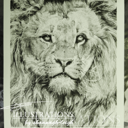 Lion Commission