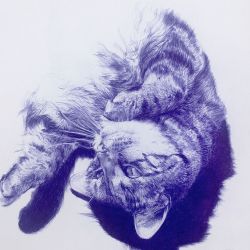 Tabby Cat in Blue